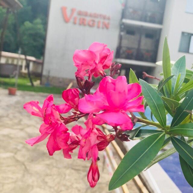 Family Hotel Virgin Ribarica Ngoại thất bức ảnh